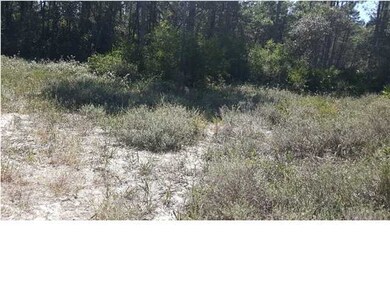 Additional View 1