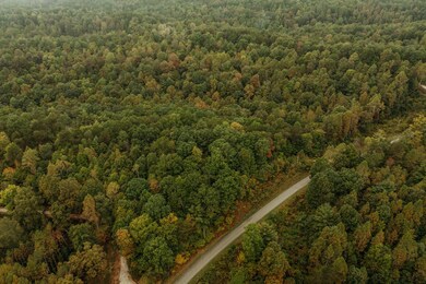 DJI_0146