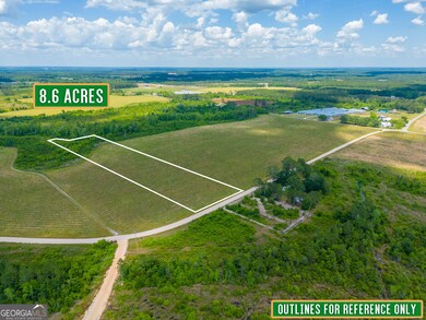 Tract 9 Sellers Rd, Baxley, GA 31513 - photo 7