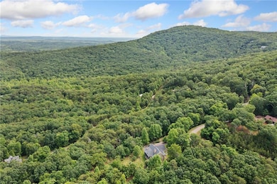 Aerial view of a heavily wooded area