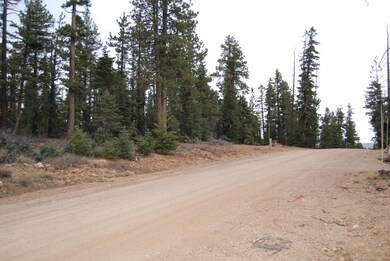 Year-round Access