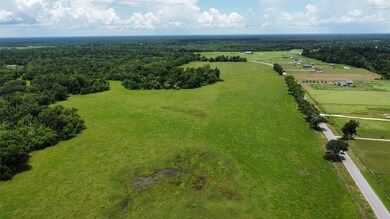 0 Brazoria County Rd unit 54196158, Angleton, TX 77515 - photo 3