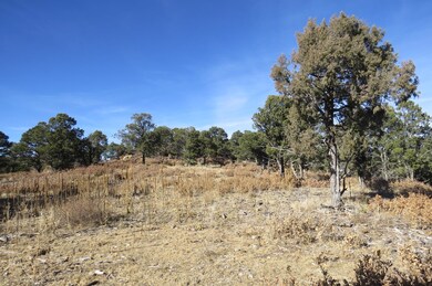 0 Raton Overlook unit Parcel 9 18-3, Trinidad, CO 81082 - photo 7