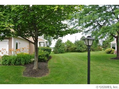 Yard OPEN SPACE !
