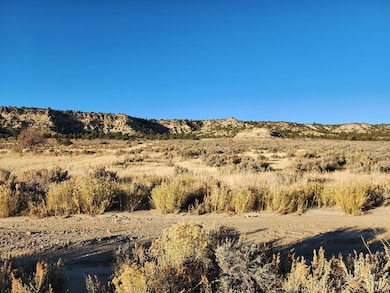 0 Banco Rd, La Jara, NM 87027 - photo 2