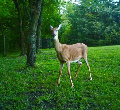 15305 T Rd, Mayetta, KS 66509 - photo 5