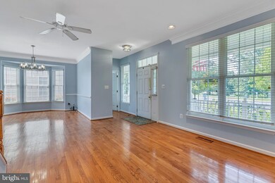 43053 Edgewater St, Chantilly, VA 20152 - photo 3