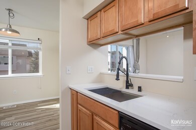 Farm-Style SS Sink