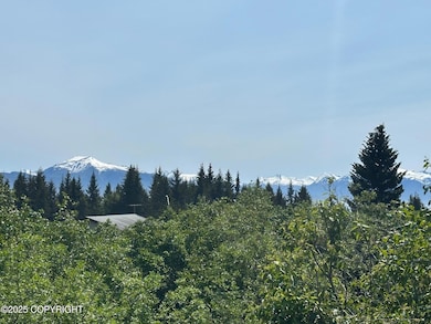 858 Linda Ct, Homer, AK 99603 - photo 2