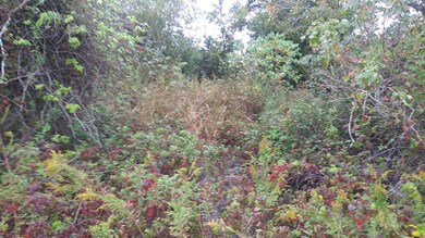 1635 Algoa Rd, Algoa, TX 77511 - photo 2