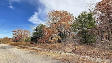 225 W Budinot Dr, Park Hill, OK 74451 - photo 2