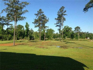 Backyard.