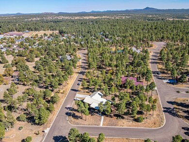 401 E Huckleberry Ln, Show Low, AZ 85901 - photo 3