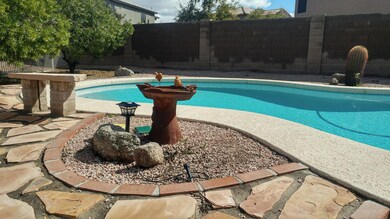 back pool 2