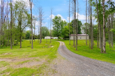 The LONG DRIVEWAY BACK to the pole barn, the barnd