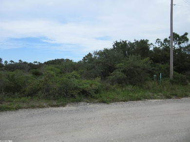 Lot View