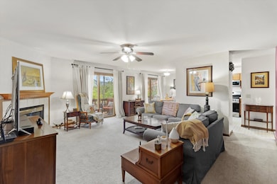 1017 Brookdale Dr unit 1017, Carpentersville, IL 60110 - photo 2