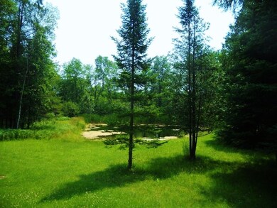 W4387 Panske Rd, Porterfield, WI 54159 - photo 2