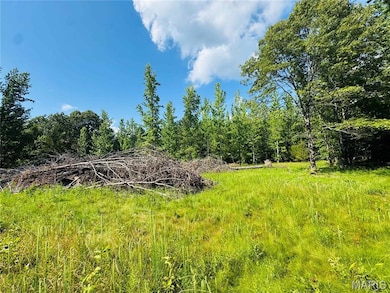 00 Hwy Bb, Fairdealing, MO 63939 - photo 7