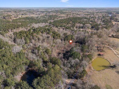 00 W Magnolia Ln, Taylorsville, MS 39168 - photo 7