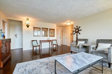 Hammond Park Condominiums unit 601, Chestnut Hill, MA 02467 - photo 5