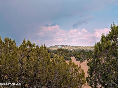 1109 Jackpot Ranch Rd, Seligman, AZ 86337 - photo 4