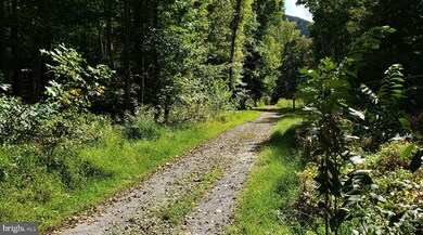 0 Briary Bottom Ln, Great Cacapon, WV 25422 - photo 6