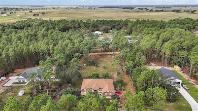 6900 SW 137th Court Rd, Ocala, FL 34481 - photo 4