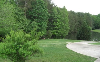 Additional View