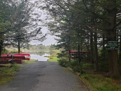 1020 W Wadi Rd W, Pocono Lake, PA 18347 - photo 7