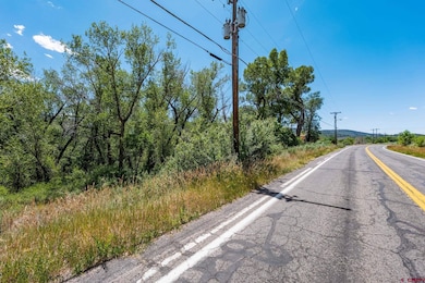 1110 Animas View Dr, Durango, CO 81301 - photo 3