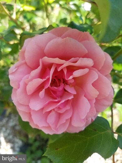 1622 Sexton St, Baltimore, MD 21230 - photo 5