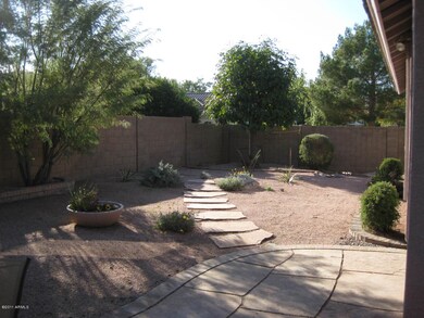 Back yard
