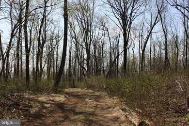 0 Blueridge Mountain Rd unit 1000714459, Bluemont, VA 20135 - photo 4