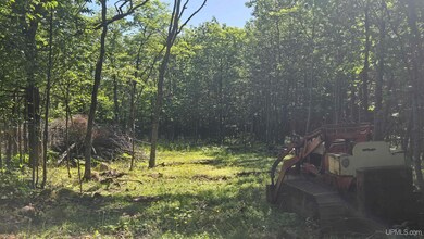 1021 Sedar Hill(parcel D) Rd unit (Parcel D), Calumet, MI 49913 - photo 6