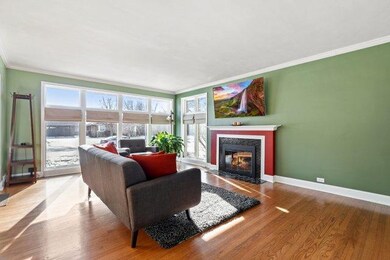 377 E Webster Ave, Elmhurst, IL 60126 - photo 3