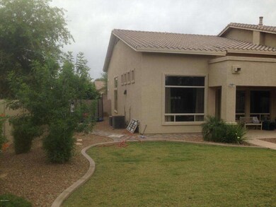backyard2