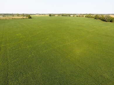 DJI_0006w