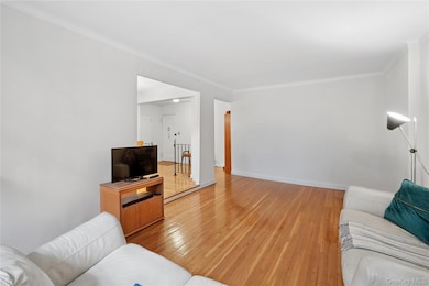 Greenbriar unit 216, Forest Hills, NY 11375 - photo 7