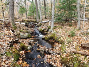 Lot 2 Gordon Hill Rd, New Hampton, NH 03256 - photo 4