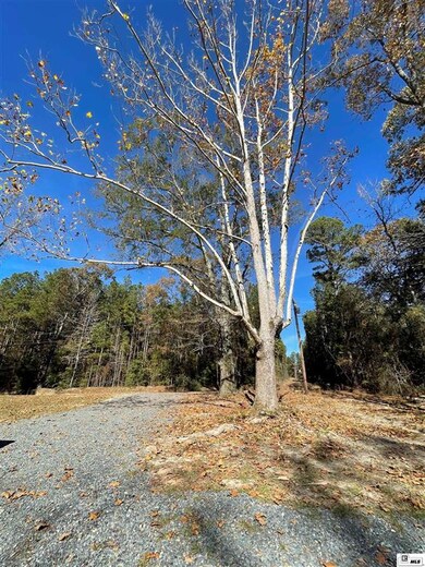 232 Par Road 482 unit 232 Tim Staples Loop, Jonesboro, LA 71251 - photo 4