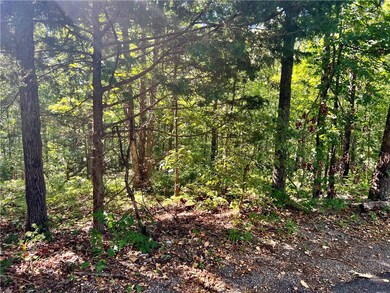 Lot 19 & 20 Arran Ln, Bella Vista, AR 72715 - photo 2