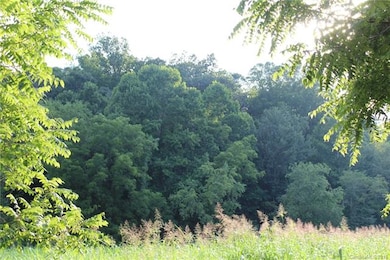 Those woods are the edge of lot 3 and the left sid