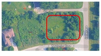 unlisted-address, Monee, IL 60449 - photo 2