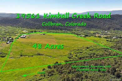 19561 Kimball Creek Rd, Collbran, CO 81624 - photo 4