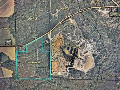 750 Cedar Grove Rd, Climax, GA 39834 - photo 5