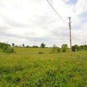 495 Hopewell Rd, Harrodsburg, KY 40330 - photo 2