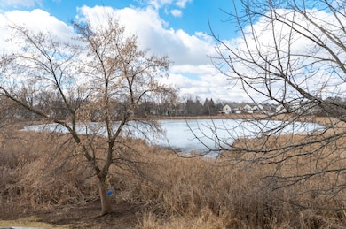 Pond View