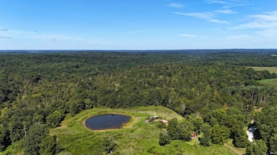 96+/- Acres Emmons Ridge Rd, Shoals, IN 47581 - photo 4