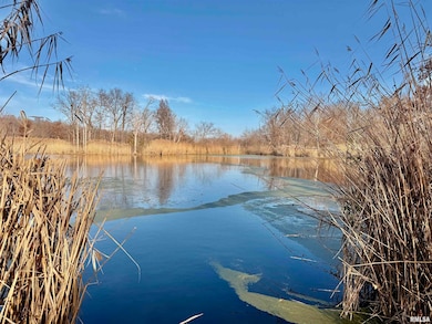 421 County Road 2400 N, Centralia, IL 62801 - photo 5